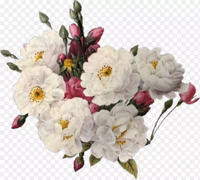Les liliacées海报印刷花缎玫瑰-再见