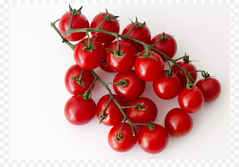 布什番茄樱桃番茄品种巴巴多斯樱桃