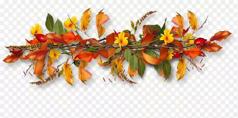 网页设计-秋季花卉