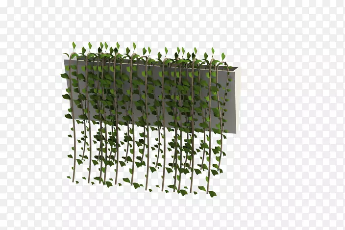 地堑CAD计算机辅助设计三维建模三维计算机图形计算机软件悬挂式植物
