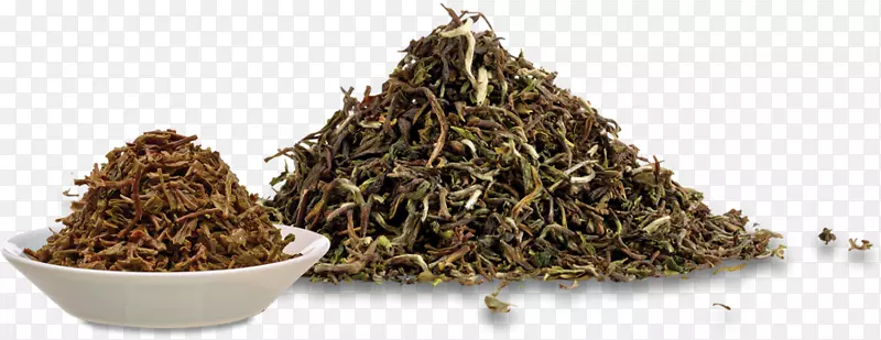 尼尔吉里茶hōJicha茶混合和添加剂杯茶