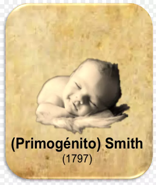 睡美人：梦中的新生儿，鼻子里的婴儿，里巴·史密斯，科斯塔·德尔雅斯特-约瑟夫·史密斯