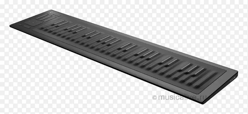 计算机键盘Roli seon up 49 MIDI控制器MIDI键盘.乐器