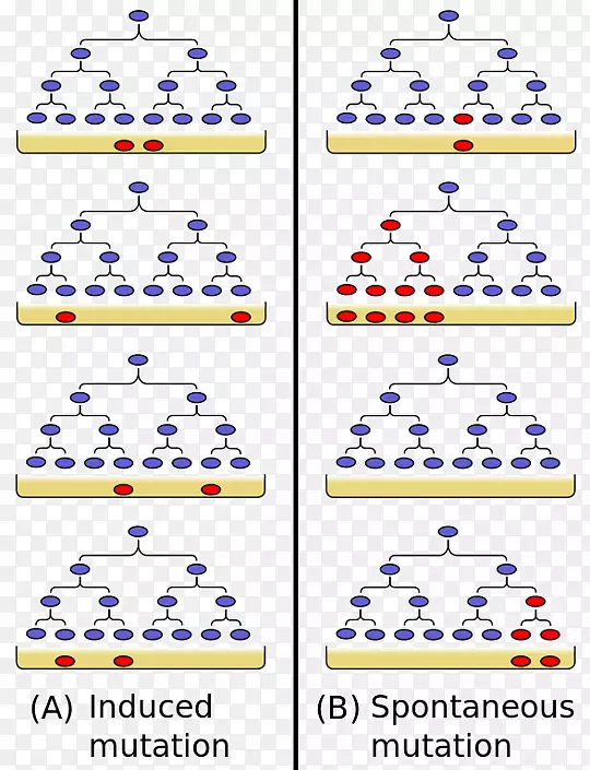 洛里亚-德尔布吕克实验突变生物学-科学