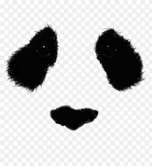 大熊猫画熊眼艺术-帕纳达