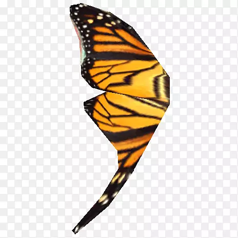 帝王蝴蝶，年长的卷轴v：天边-龙出生的wiki健康-人