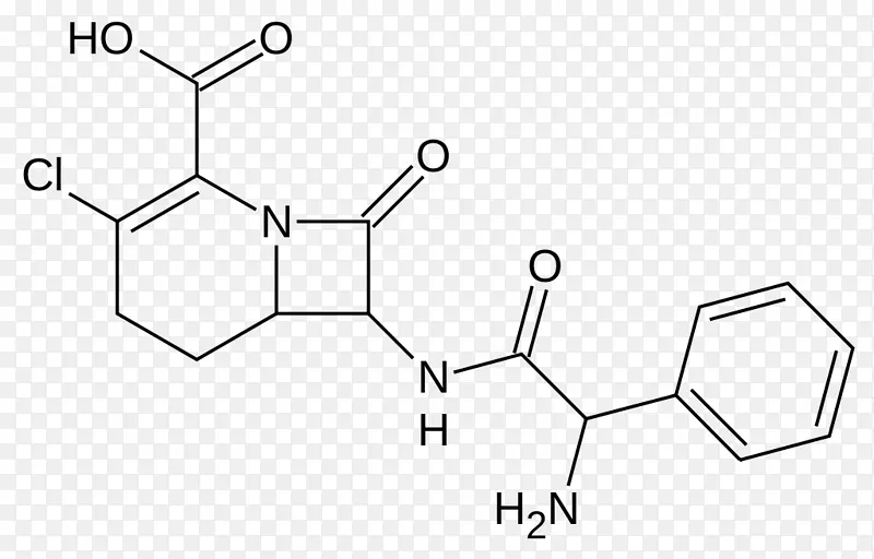 头孢唑西林、头孢泊肟、药物、抗生素、环丙沙星
