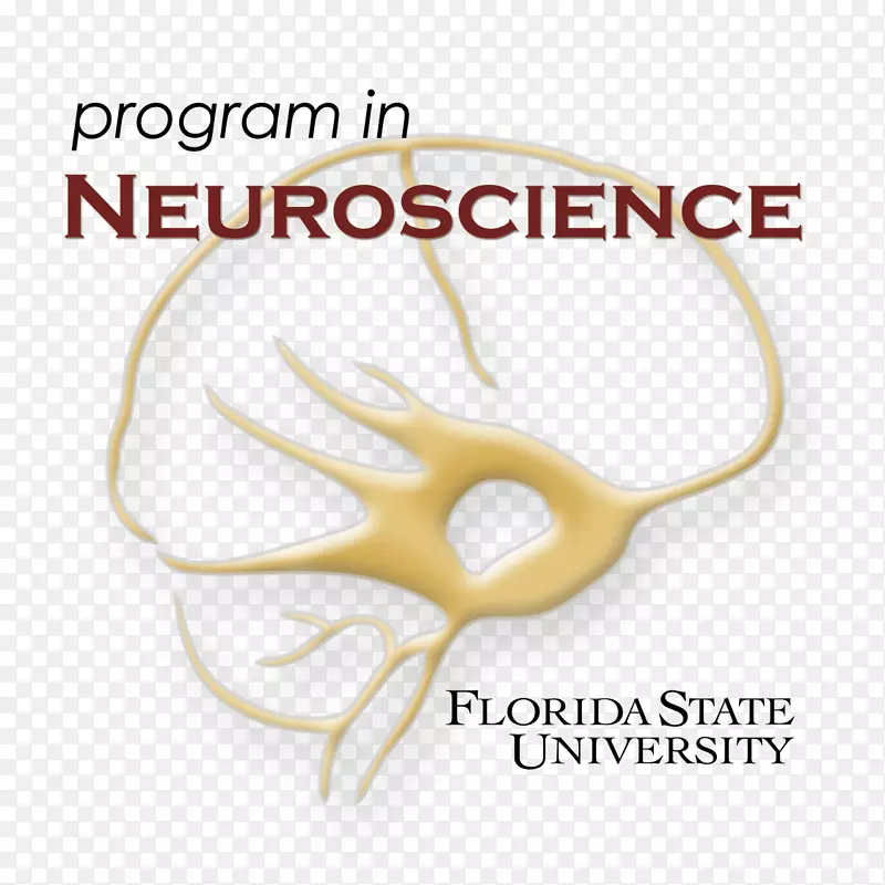 佛罗里达州立大学研究神经科学生物学
