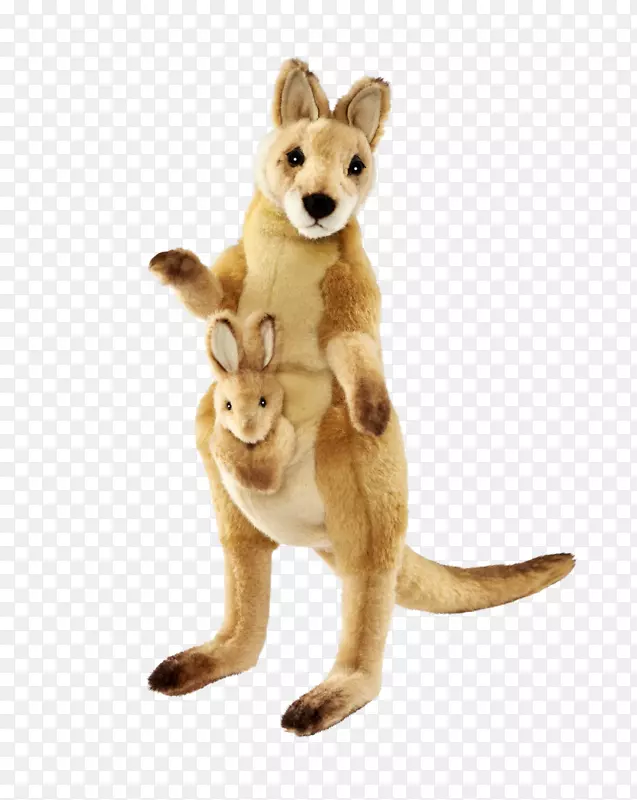 红狐猫袋鼠填充动物&可爱的玩具尾猫