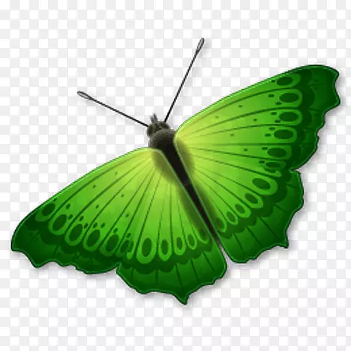 蝴蝶电脑图标设计剪贴画-蝴蝶