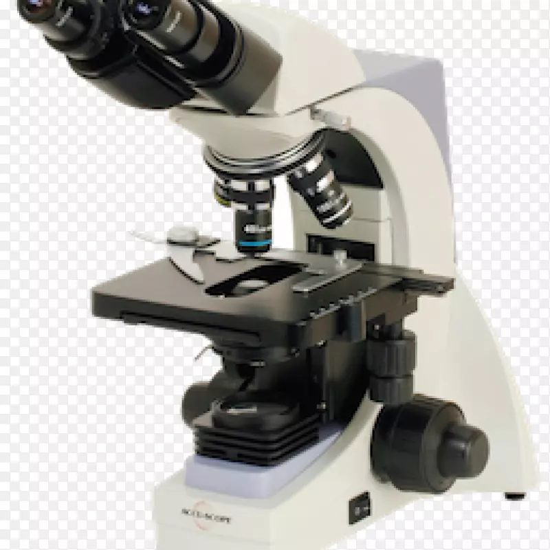 光学显微镜，暗场显微镜，光学，亮场显微镜，显微镜