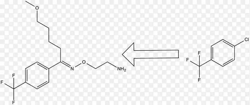 酪氨酸苯丙氨酸羟化酶必需氨基酸羟化酶