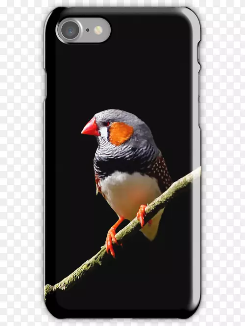 iphone 5 iphone 4手机配件电话iphone 6s-斑马雀