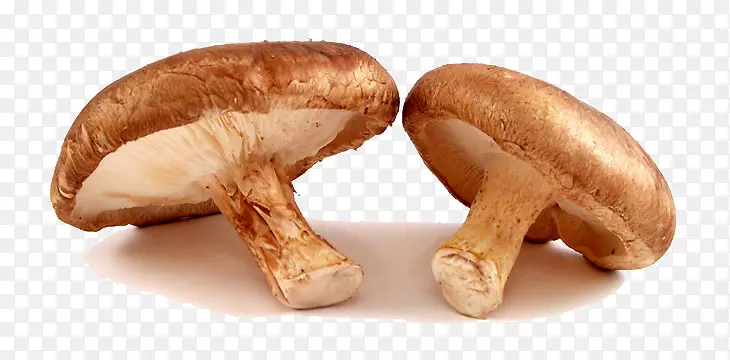 香菇有机食品普通蘑菇食用菌