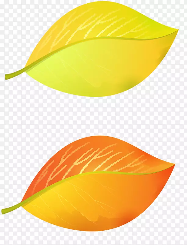 线叶设计
