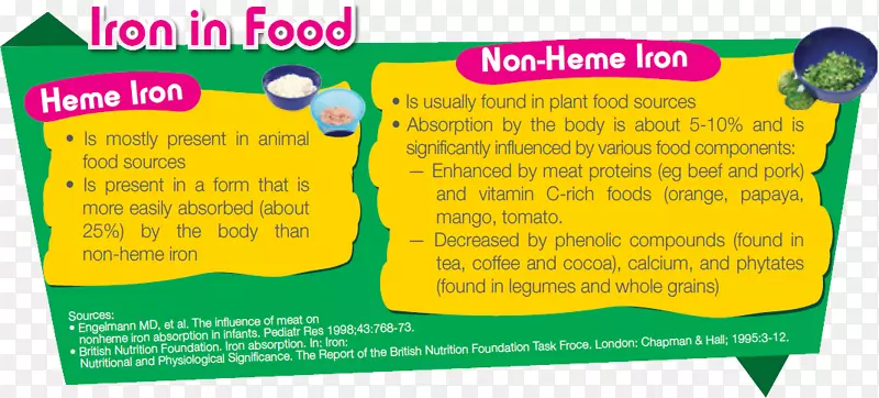 营养食品缺铁血红素铁