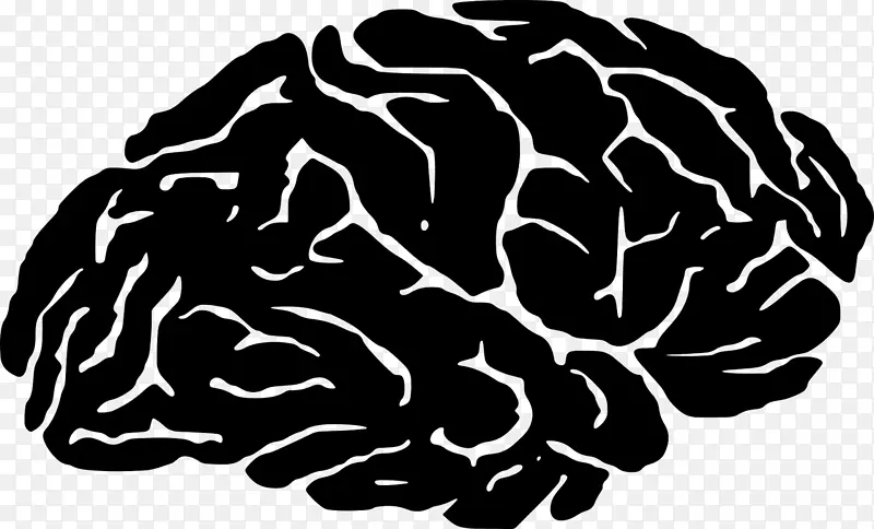 脑轮廓大脑颅骨内神经素系统-脑