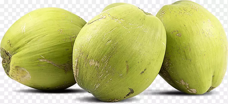 椰子水食品槟榔科蜜露椰子