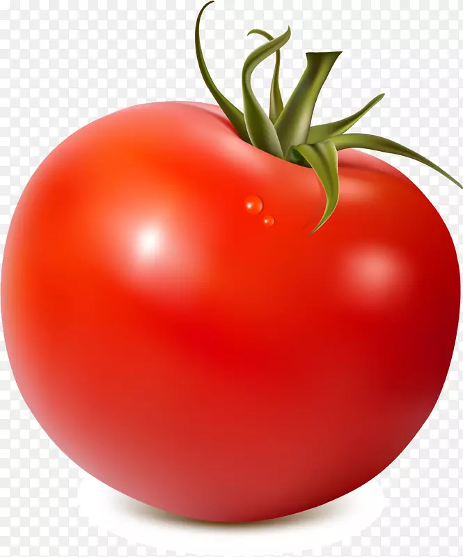 番茄汤番茄汁剪辑艺术-番茄