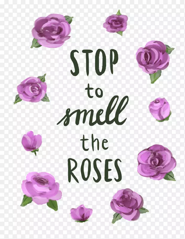 花园玫瑰花型切花粉红色m-停止并闻闻玫瑰。