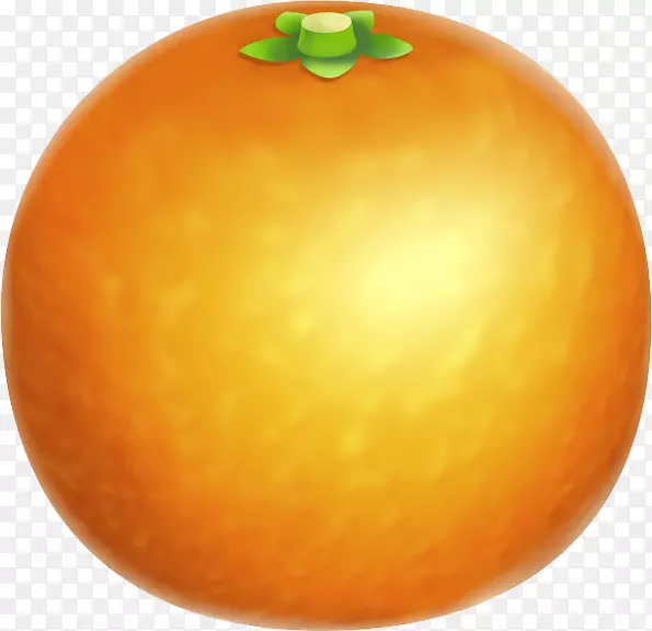 金门橙子橘子柚子橘子桔子