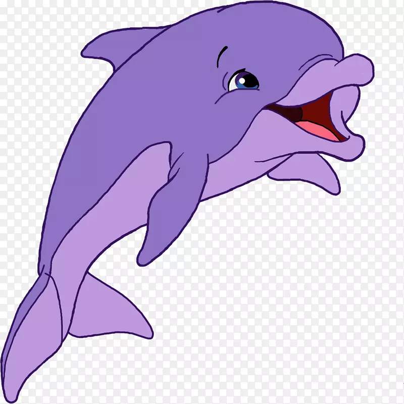 普通宽吻海豚图库溪短喙普通海豚全口粗齿海豚