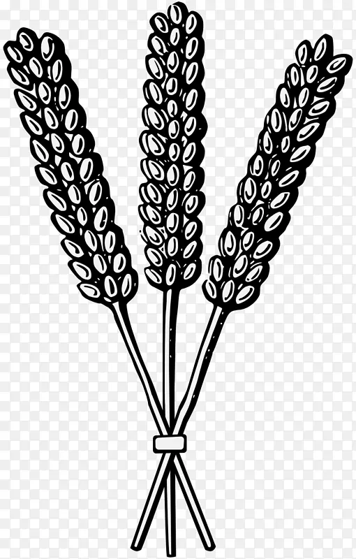 小麦纹章谷物pdf-小麦