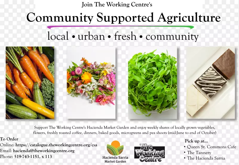 叶菜社区-支持农业的大型农庄市场花园(工作中心的一个项目)-食品销售