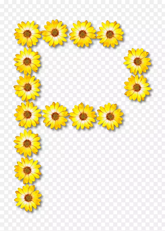 普通向日葵花型设计字母表-花
