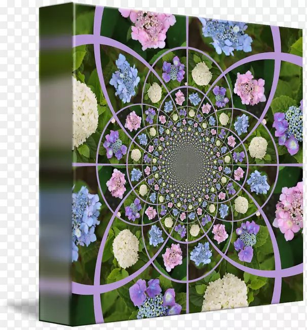 花卉设计对称开花植物图案设计
