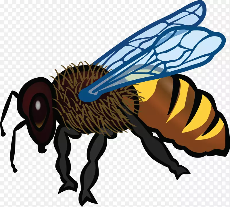 蜜蜂着色书剪贴画-蜜蜂吉斯