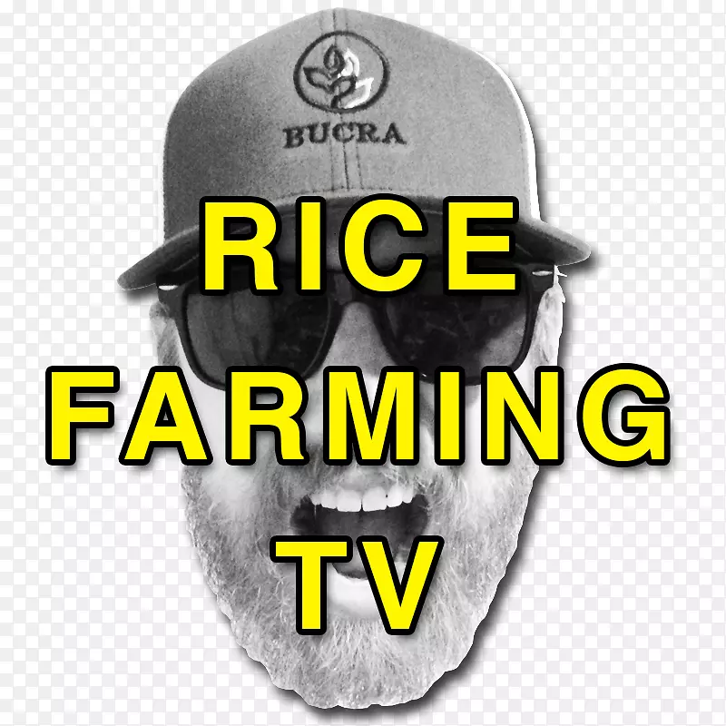 Youtube农业广告传播标志-农民稻米