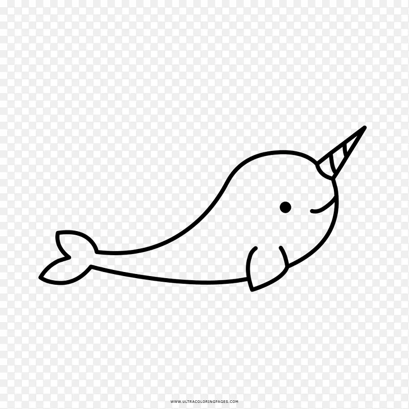 独角鲸画册海洋-纳沃尔