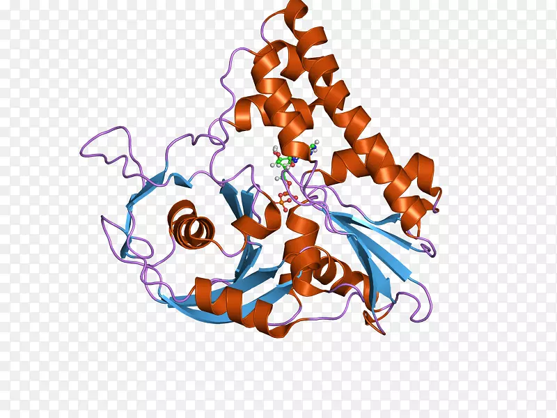 Parm蛋白质粒肌动蛋白原核生物