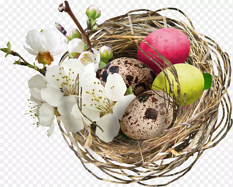 复活节篮子复活节彩蛋鸟-复活节