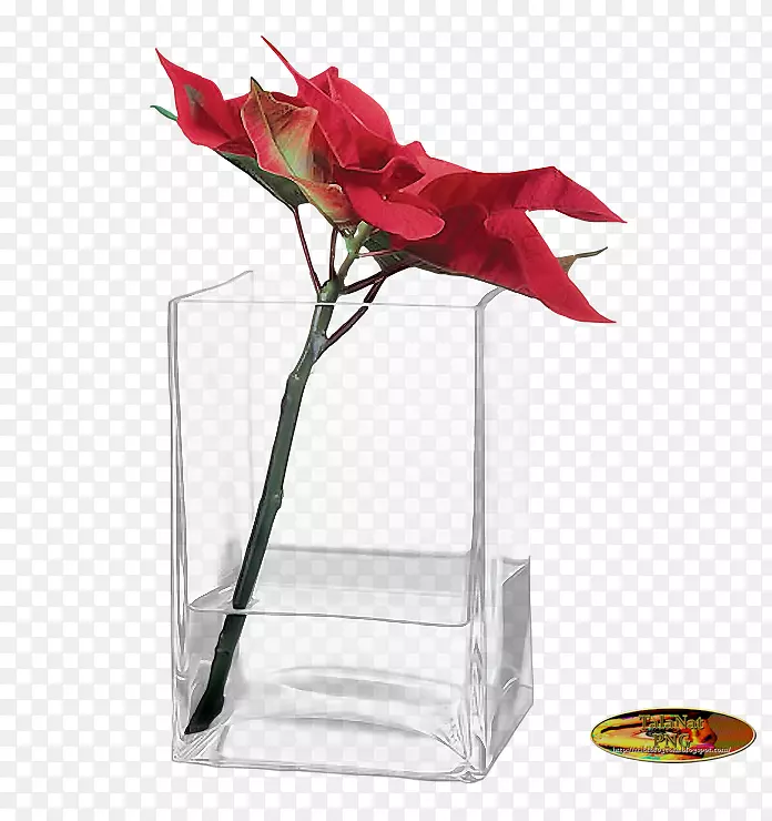 花瓶玻璃花卉设计网上购物花瓶