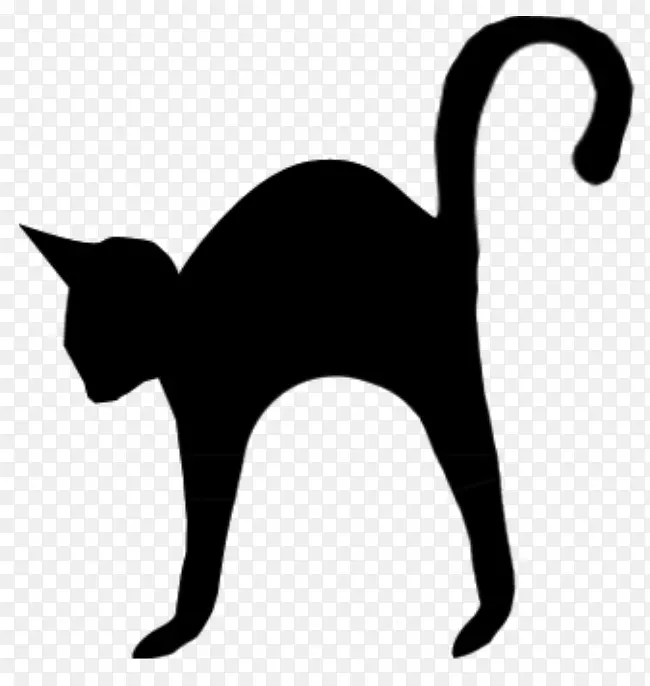 黑猫画夹艺术-小猫