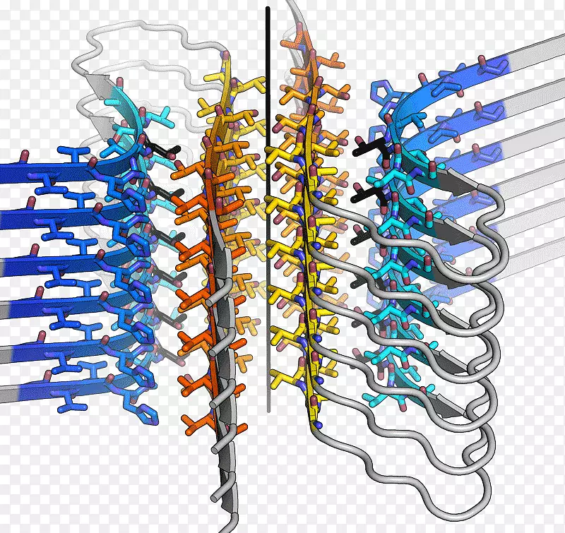 淀粉样纤维α-合成核蛋白晶体结构-其它结构