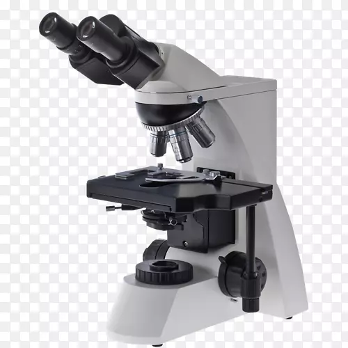 光学显微镜，光学，位相显微镜，光学显微镜