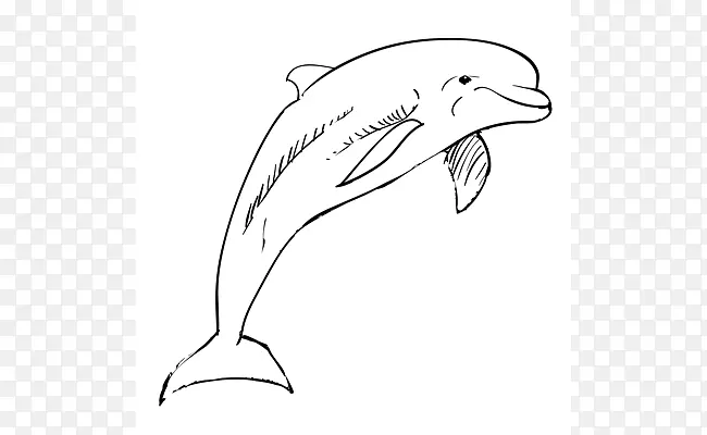 图库溪普通宽吻海豚素描海豚