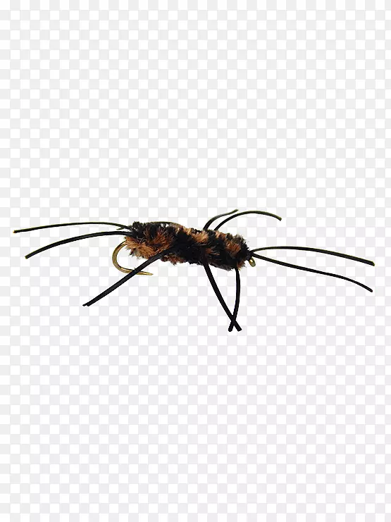 加州蚂蚁飞钓鱼宾夕法尼亚州的巨蟒-苍蝇系带