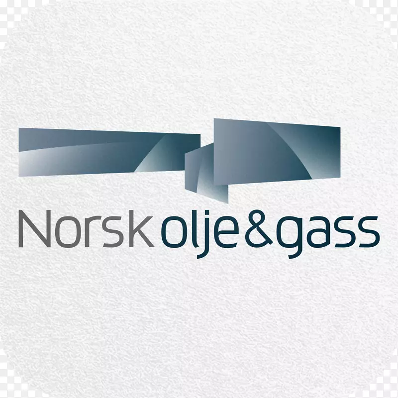 挪威石油和天然气工业-石油