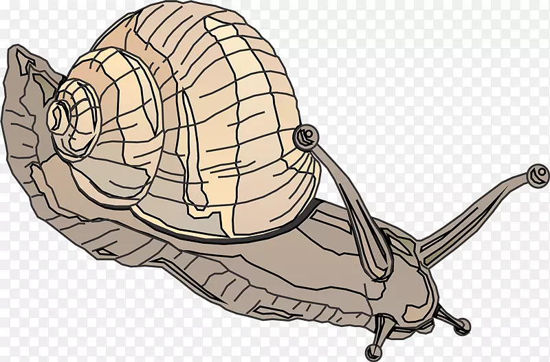 蜗牛鳄鱼外骨骼剪贴画-mol