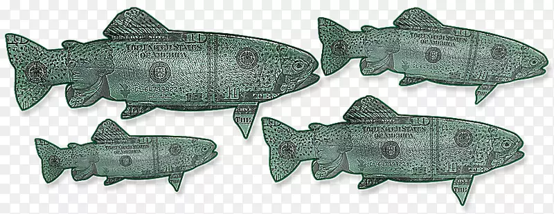 方形鲨鱼动物鱼-湖鳟鱼