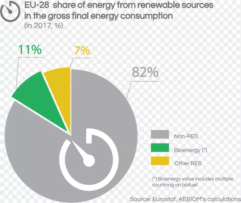 瑞典生物能欧洲生物质协会可再生能源消费