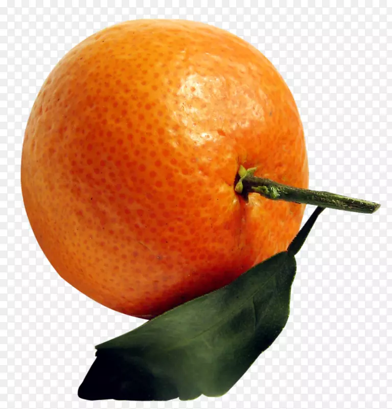 金门橘子，朗浦尔橘子