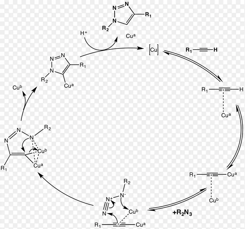 叠氮炔环加成点击化学循环