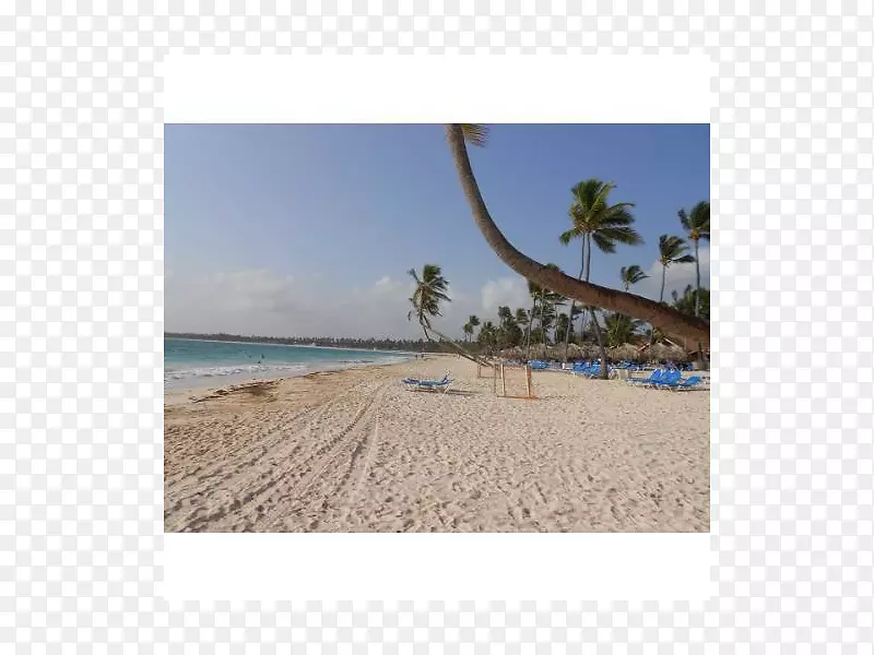 海岸加勒比海海滩陆地地段-海
