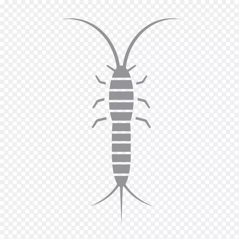 昆虫线害虫字体-昆虫