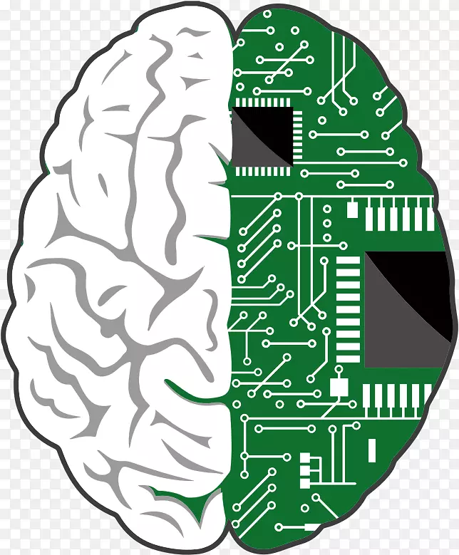 脑-计算机接口-人脑-大脑